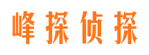 双桥区侦探公司